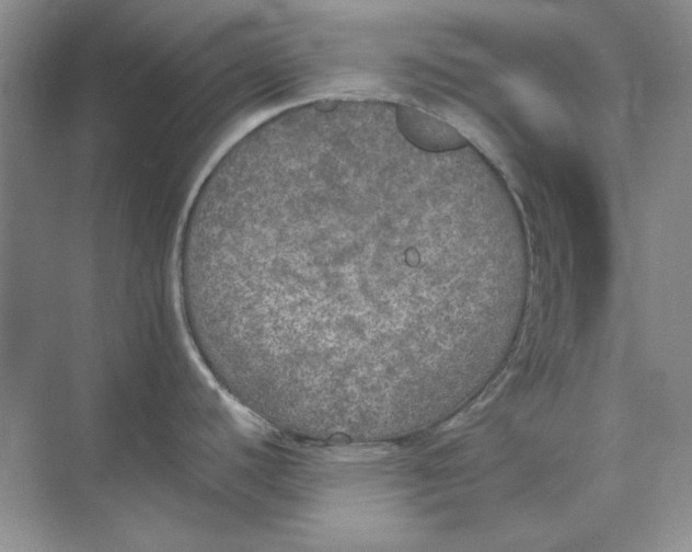 X0000074971440200609221811