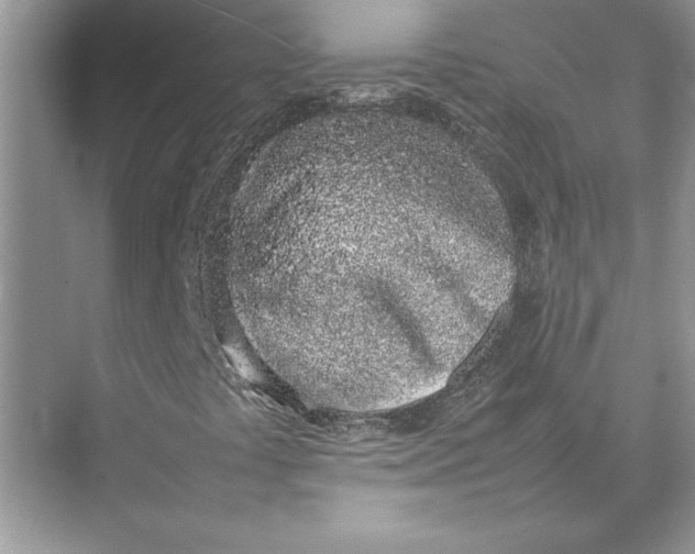 X0000074971441200609221811