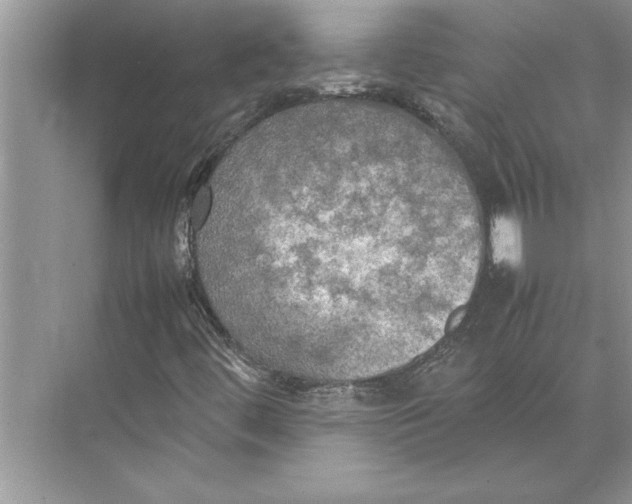 X0000074971444200609221811