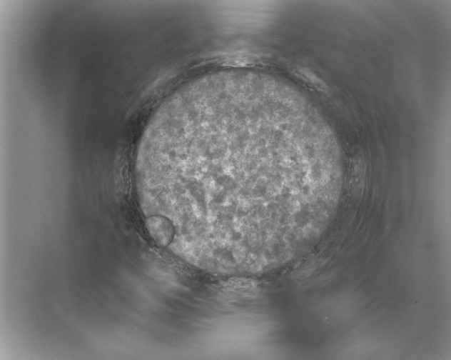 X0000074971446200609221810