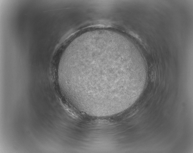 X0000074971448200609221810