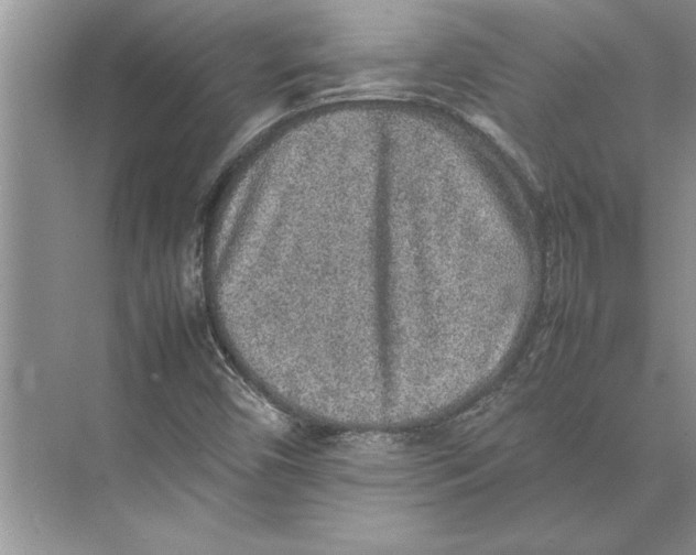 X0000074971450200609221810