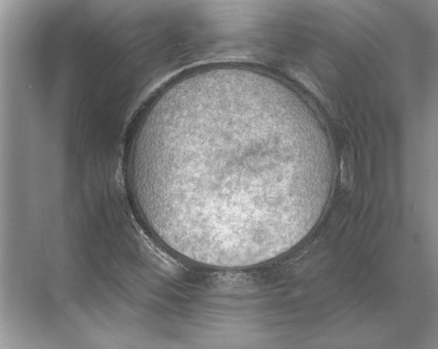 X0000074971452200609221810