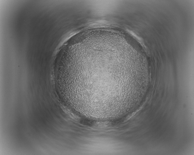 X0000074971453200609221810