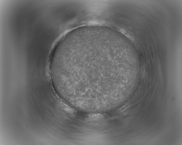 X0000074971454200609221810