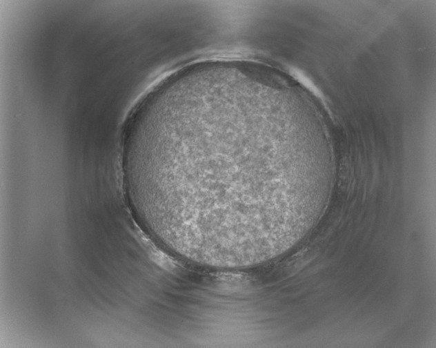 X0000074971456200609221810