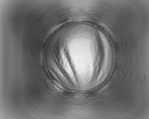 X0000074971457200609221810