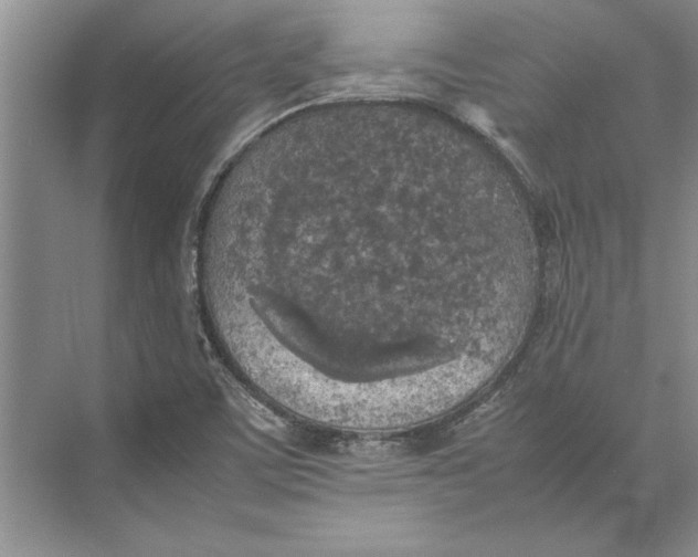 X0000074971459200609221810