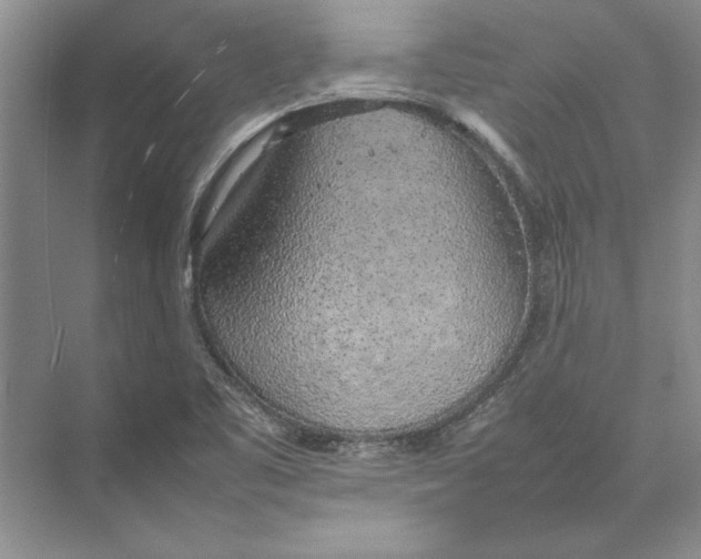 X0000074971461200609221810