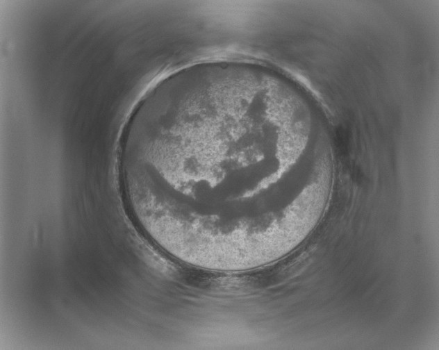 X0000074971463200609221810