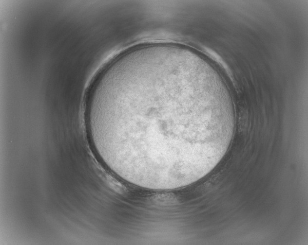 X0000074971464200609221810