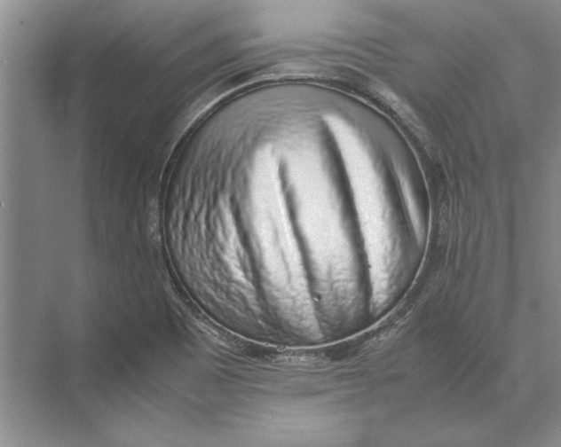 X0000074971465200609221810