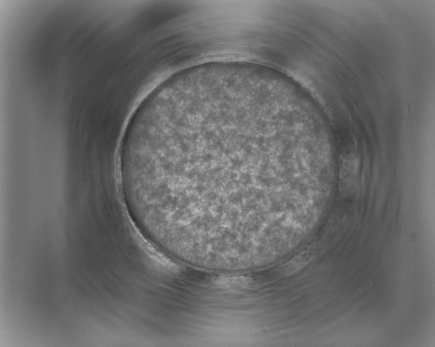 X0000074971466200609221810