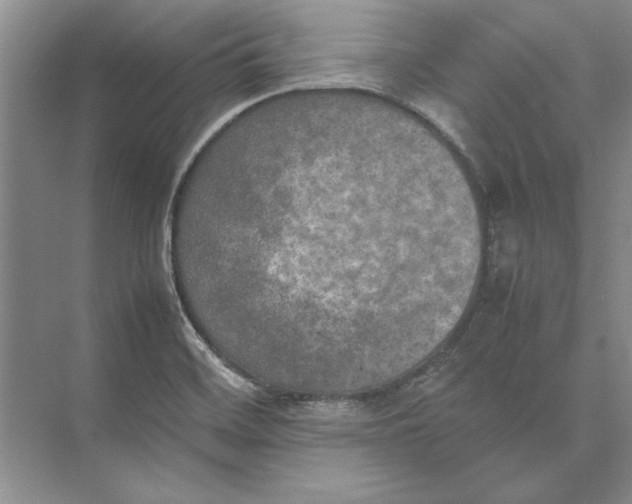 X0000074971468200609221810