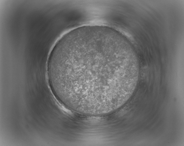 X0000074971470200609221810