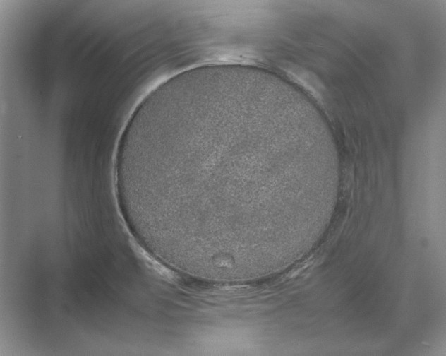 X0000074971471200609221810