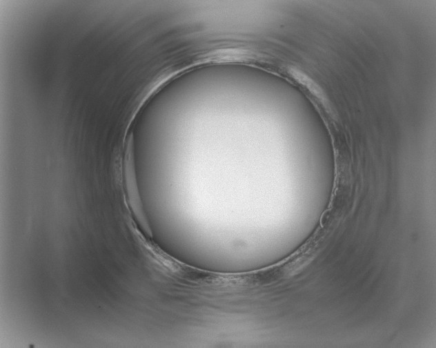 X0000074971473200609221810