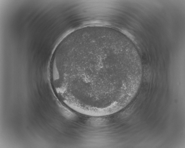 X0000074971474200609221810