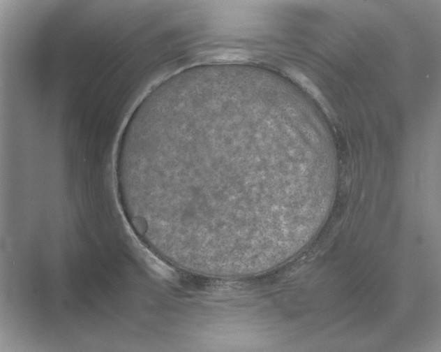 X0000074971475200609221810