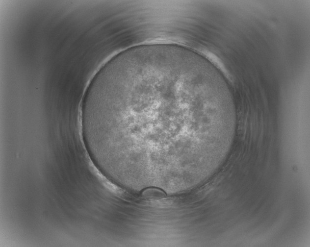 X0000074971476200609221810