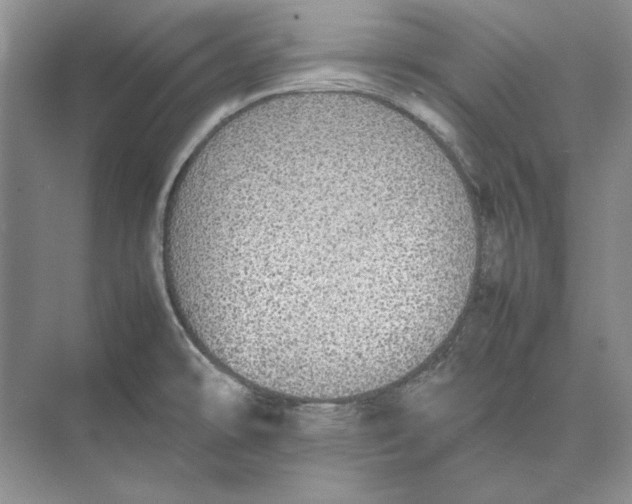 X0000074971478200609221810