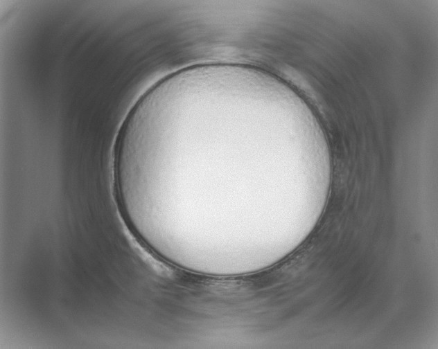 X0000074971479200609221810