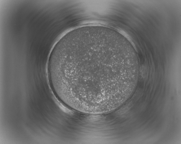 X0000074971482200609221810