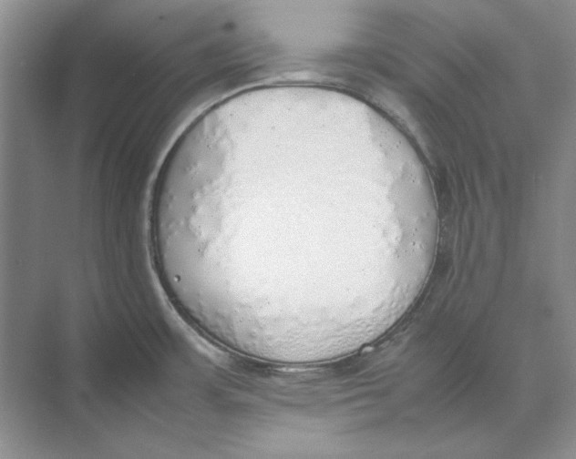 X0000074971483200609221810