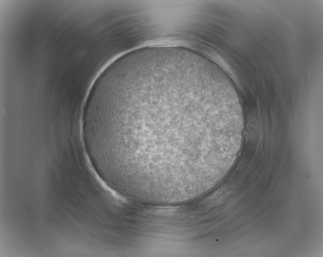 X0000074971484200609221810