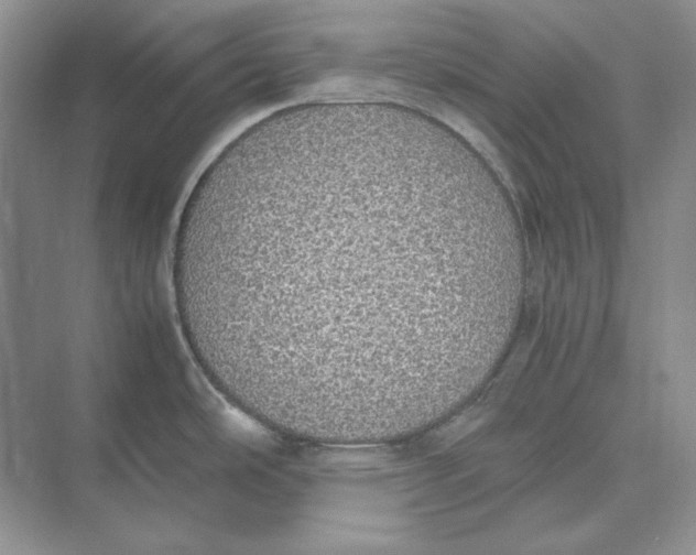 X0000074971486200609221810