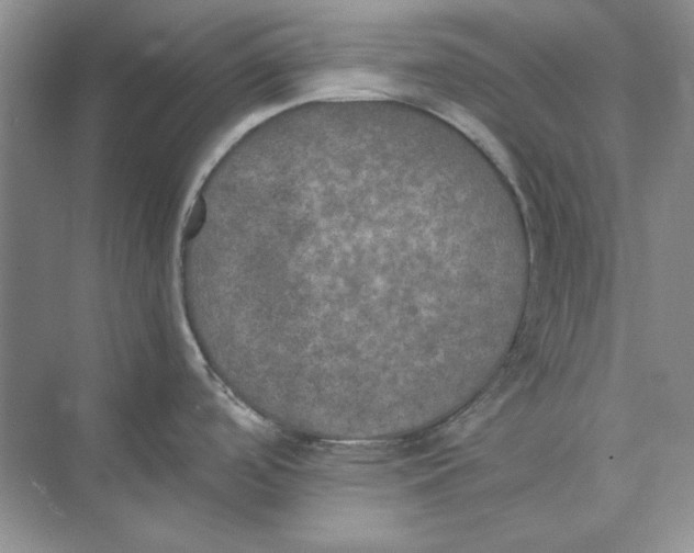 X0000074971488200609221810