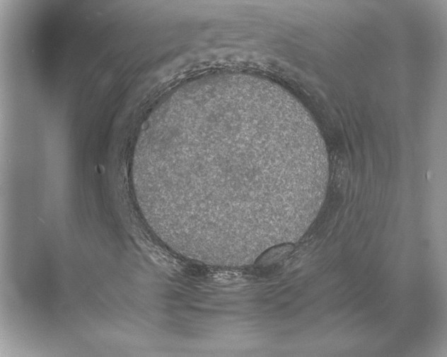 X0000074971489200609221809