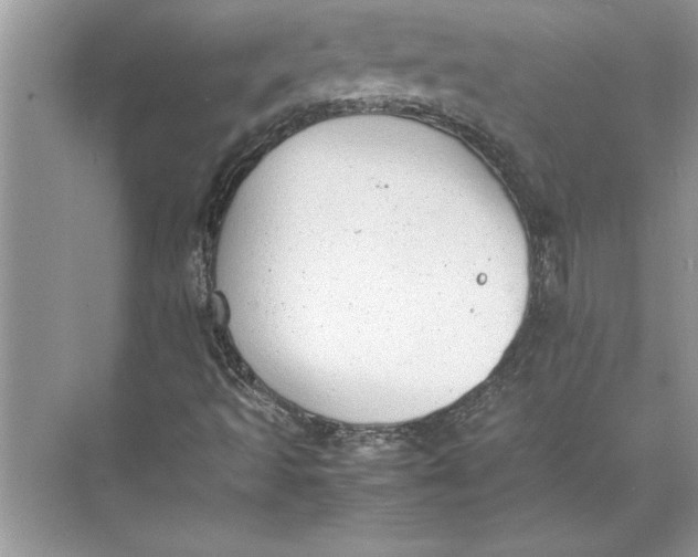 X0000074971493200609221809