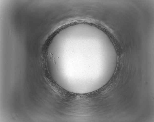 X0000074971496200609221809