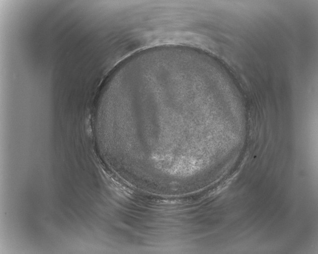 X0000074971497200609221809