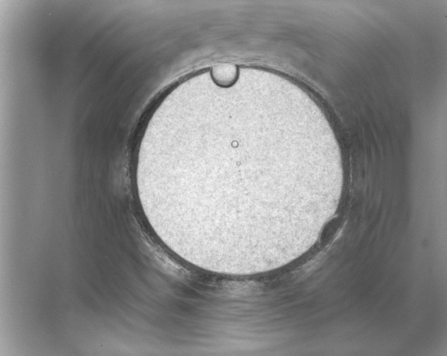 X0000074971498200609221809