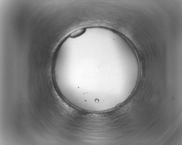 X0000074971500200609221809