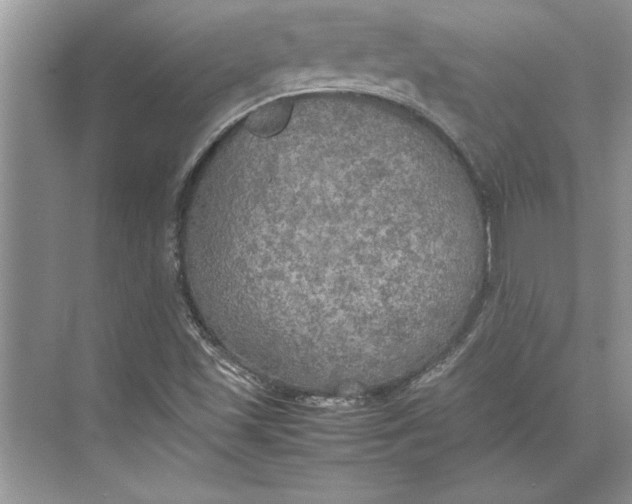 X0000074971501200609221809