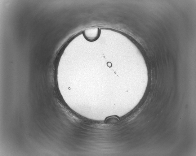 X0000074971502200609221809