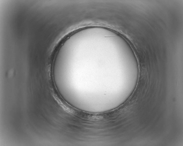 X0000074971503200609221809