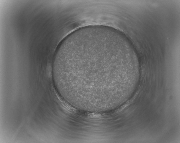 X0000074971505200609221809