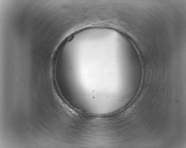 X0000074971506200609221809