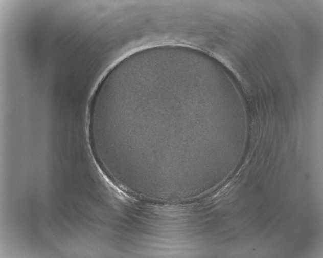 X0000074971508200609221809