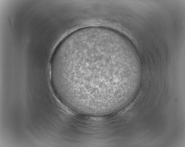 X0000074971509200609221809