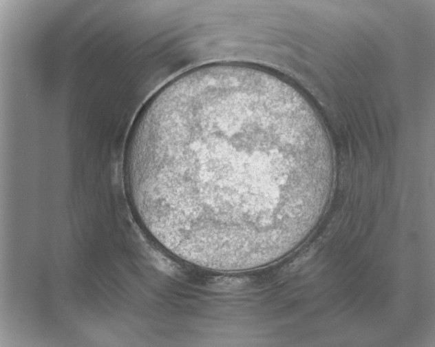 X0000074971513200609221809