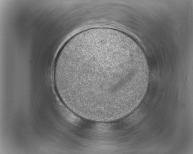 X0000074971514200609221809