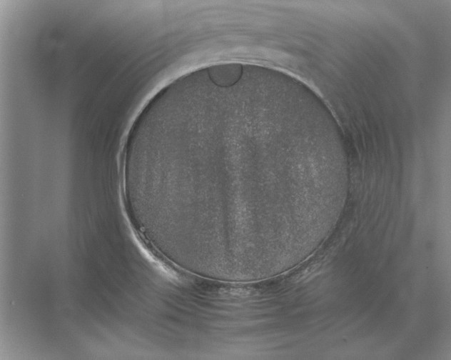 X0000074971515200609221809