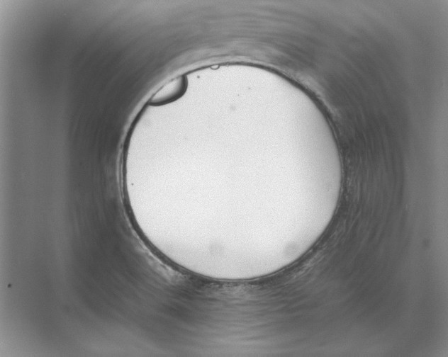 X0000074971516200609221809