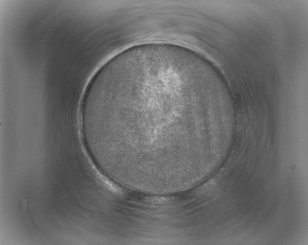 X0000074971517200609221809