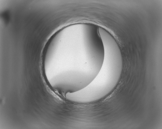 X0000074971518200609221809